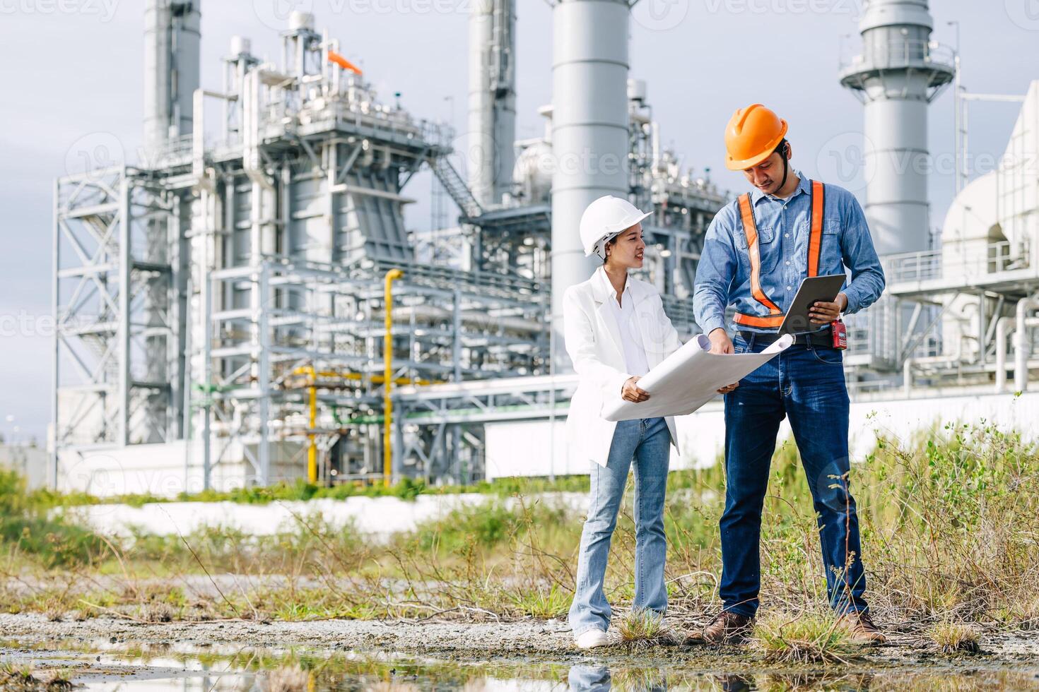 Gestión y supervisión de proyectos